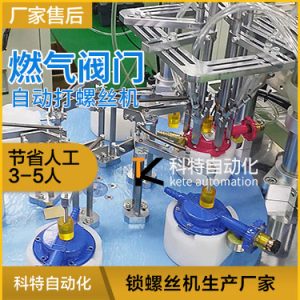燃?xì)忾y門(mén)多頭自動(dòng)上螺絲機(jī) 多工位高效率螺絲機(jī)視頻案例